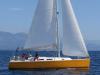  Delphin